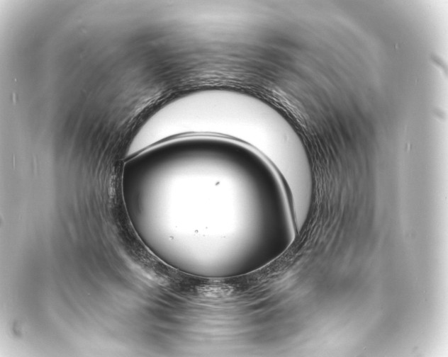 X0000093760215200710301151