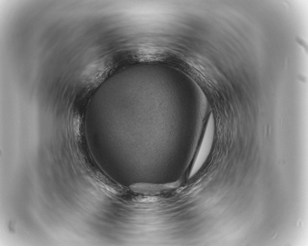 X0000093760219200710301151