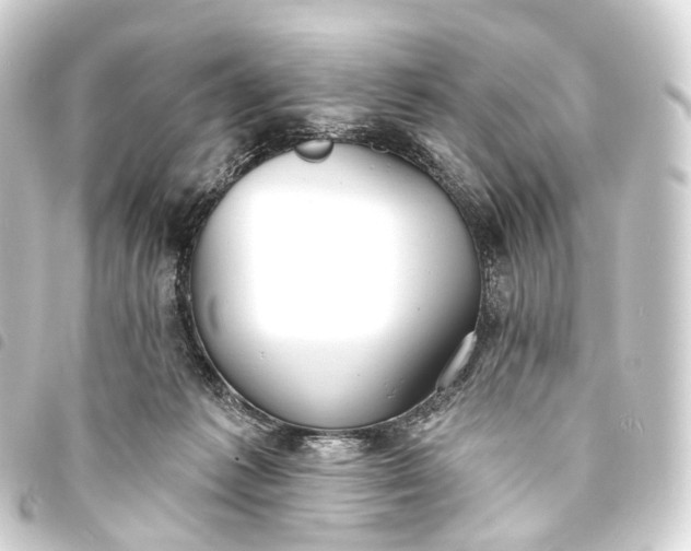 X0000093760221200710301151