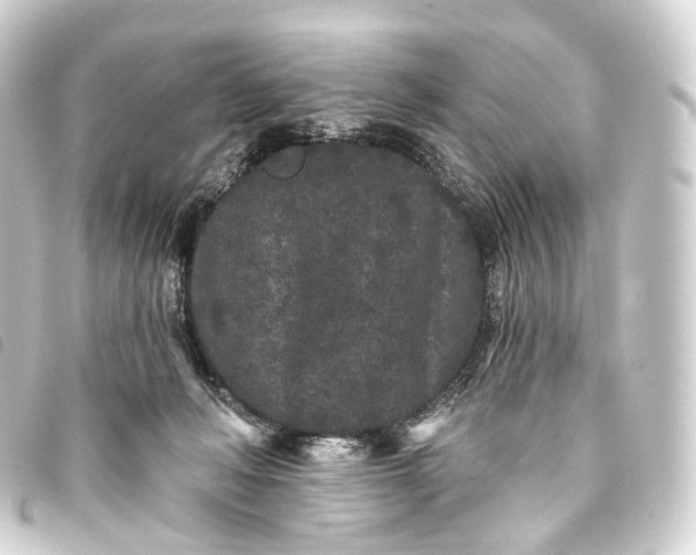 X0000093760222200710301151