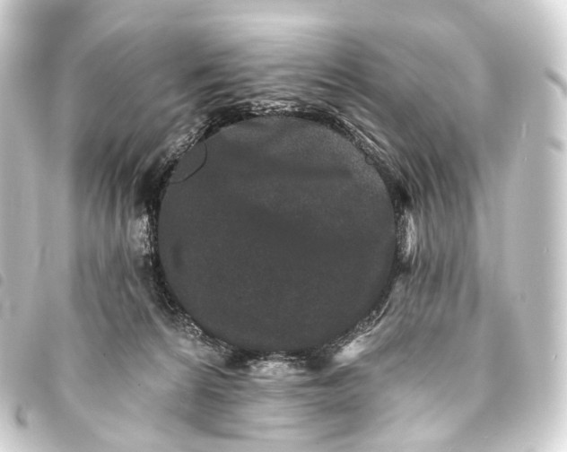 X0000093760224200710301151