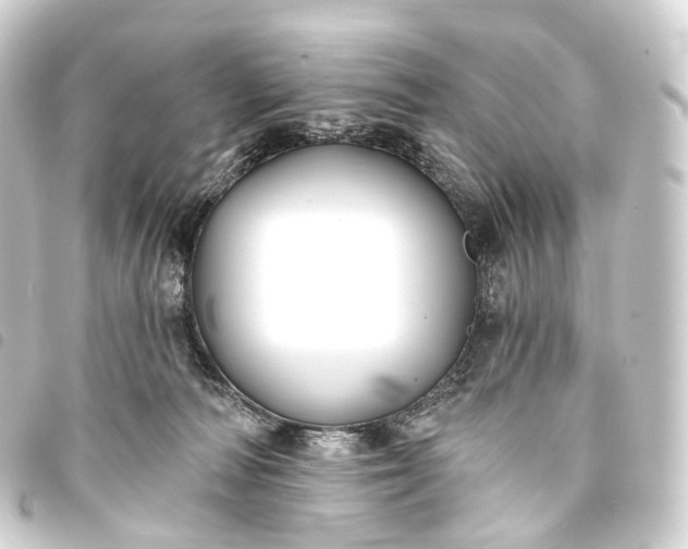 X0000093760226200710301151