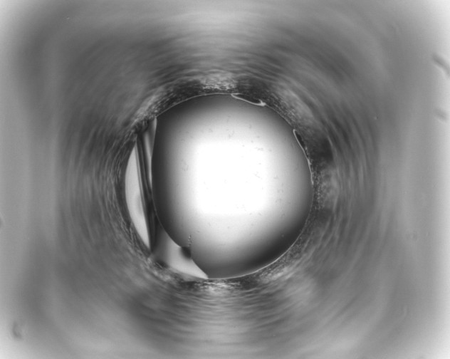 X0000093760229200710301151