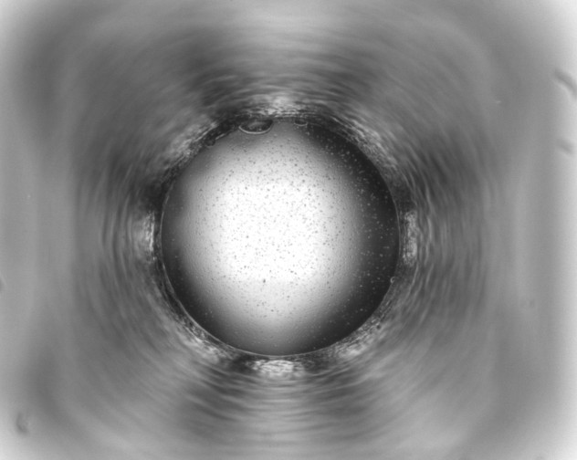 X0000093760230200710301151