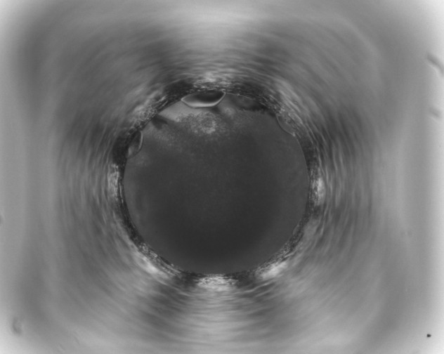 X0000093760231200710301151