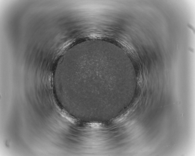 X0000093760233200710301151