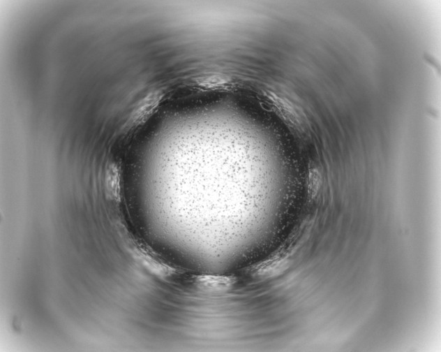 X0000093760234200710301151