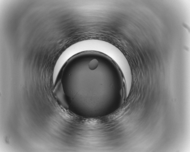 X0000093760235200710301151