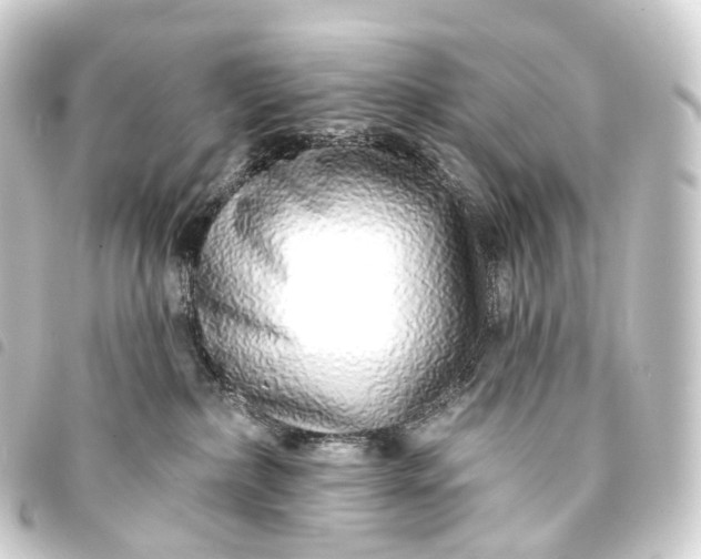 X0000093760236200710301151