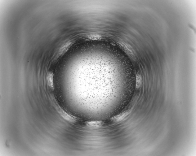 X0000093760238200710301151