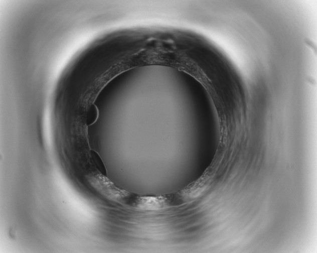 X0000093760239200710301151