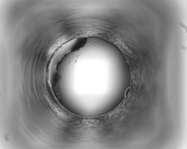 X0000093760242200710301150