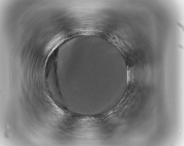 X0000093760243200710301150