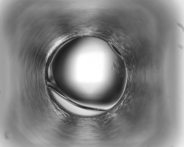 X0000093760244200710301150