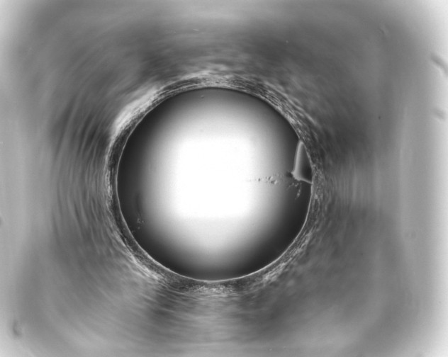 X0000093760245200710301150