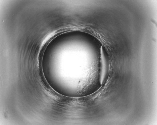 X0000093760246200710301150