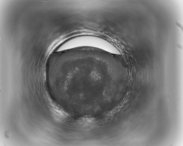 X0000093760247200710301150