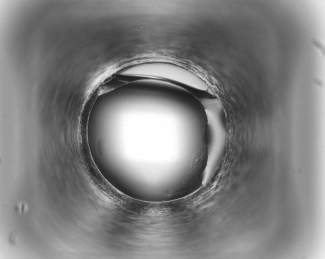 X0000093760248200710301150