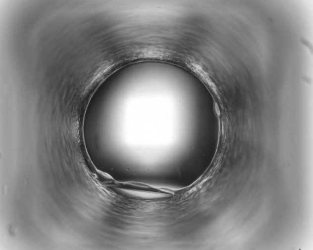 X0000093760249200710301150