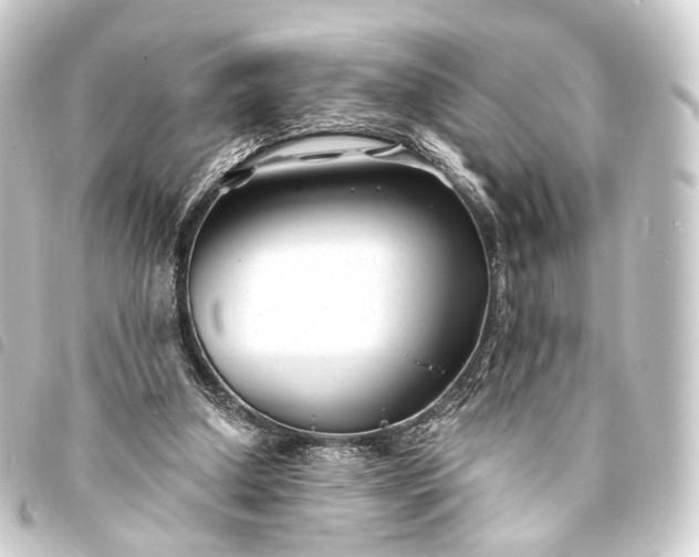 X0000093760250200710301150