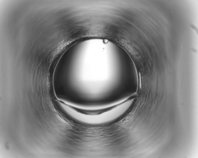 X0000093760252200710301150