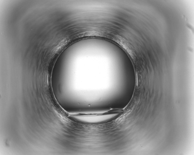 X0000093760253200710301150