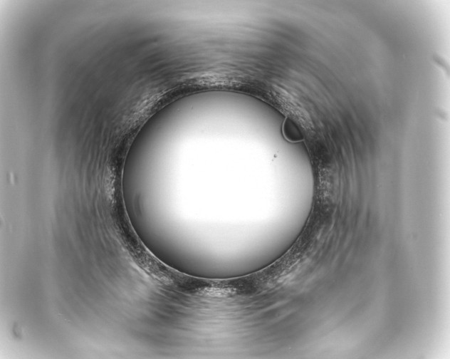 X0000093760255200710301150