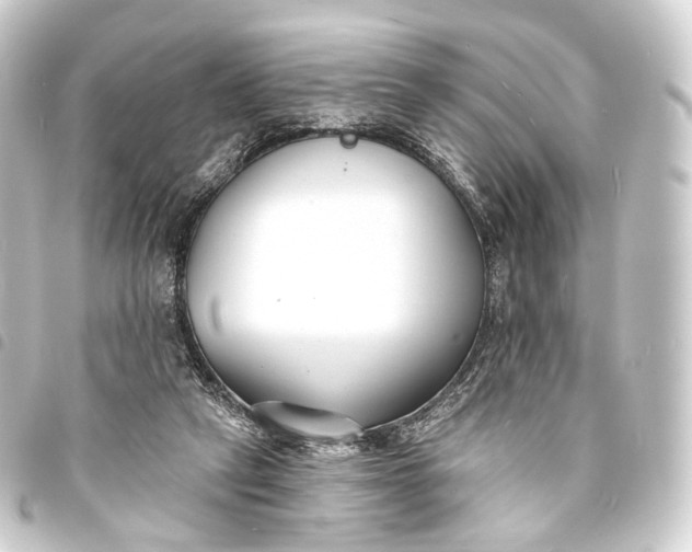 X0000093760257200710301150