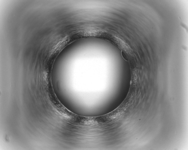 X0000093760258200710301150