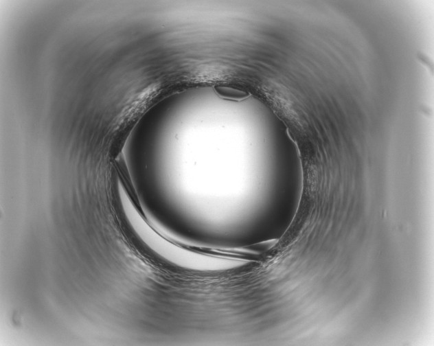 X0000093760260200710301150