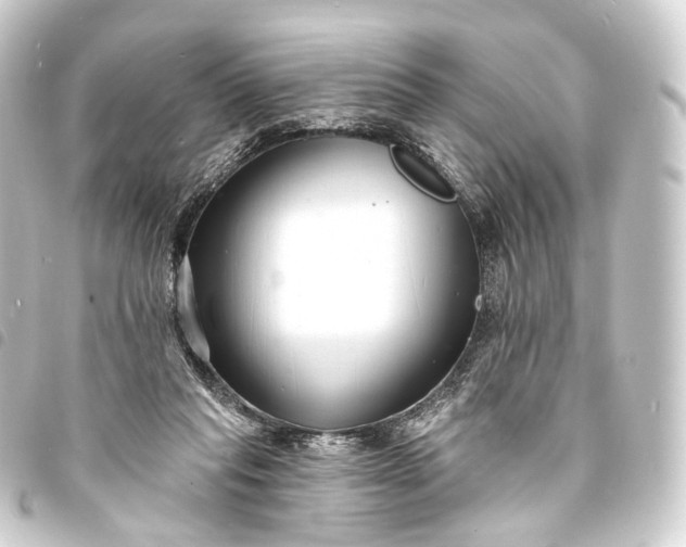 X0000093760261200710301150