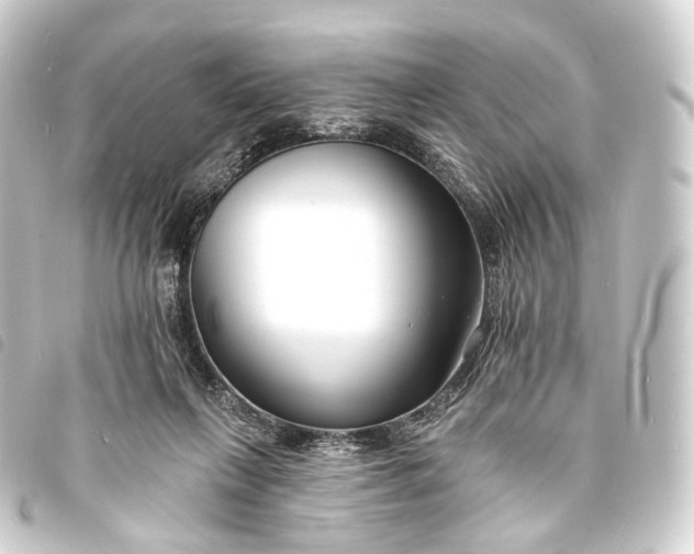 X0000093760263200710301150