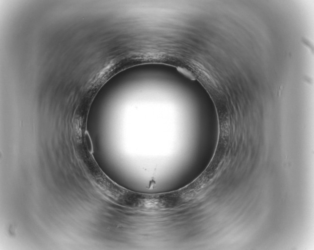 X0000093760264200710301150