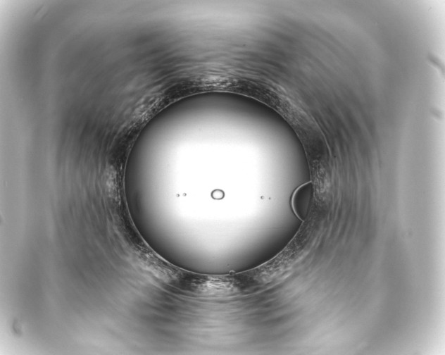 X0000093760270200710301151