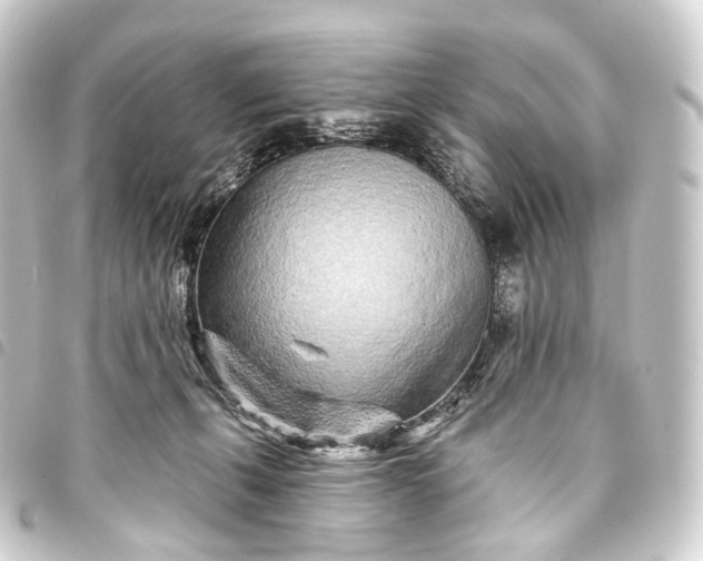 X0000093760271200710301151