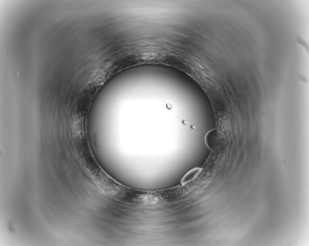 X0000093760272200710301151