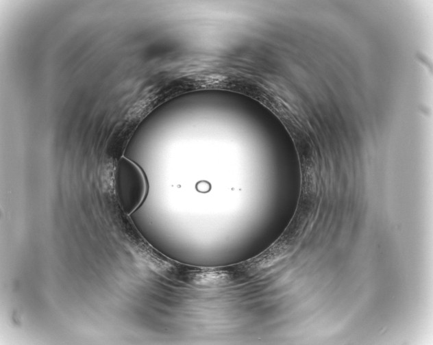 X0000093760274200710301151