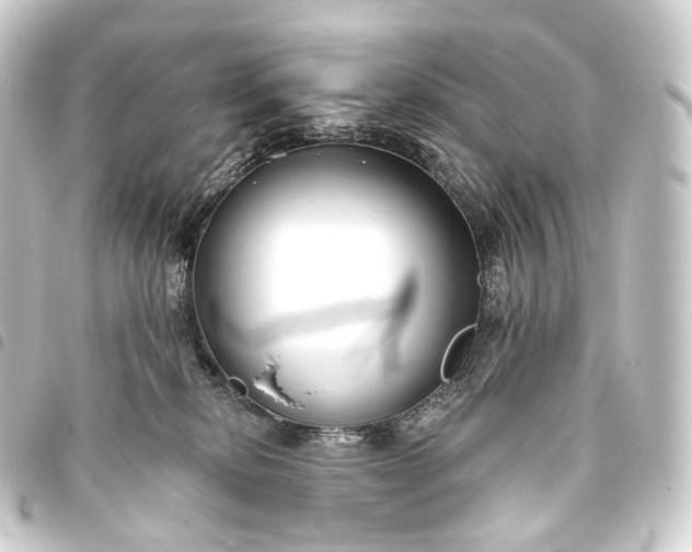 X0000093760278200710301151