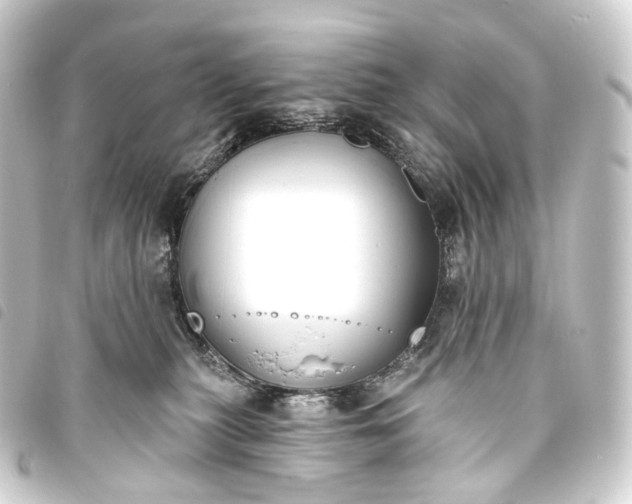 X0000093760279200710301151