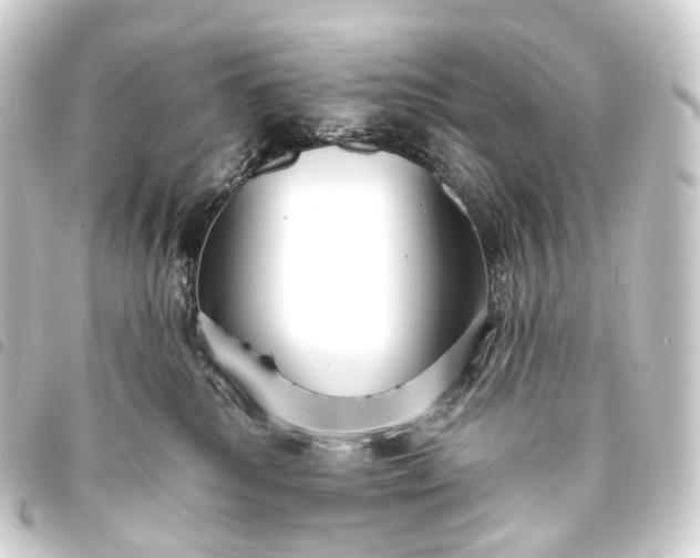 X0000093760280200710301151