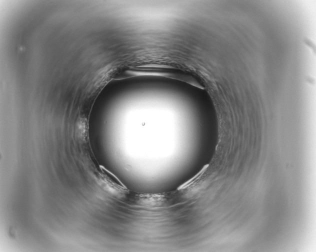 X0000093760288200710301151