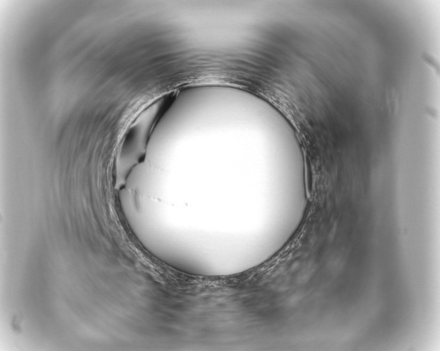 X0000093760289200710301150