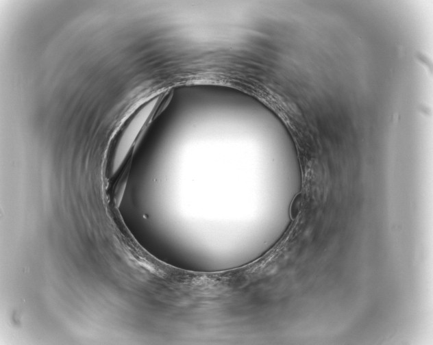 X0000093760290200710301150