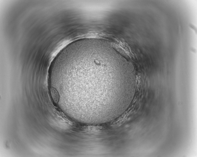 X0000093760292200710301150