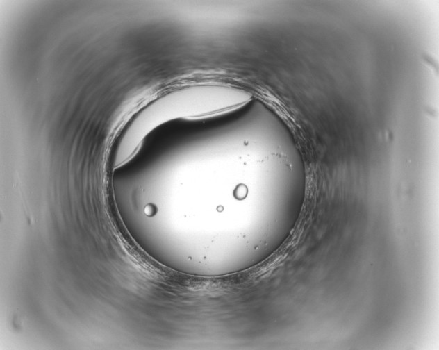 X0000093760293200710301150