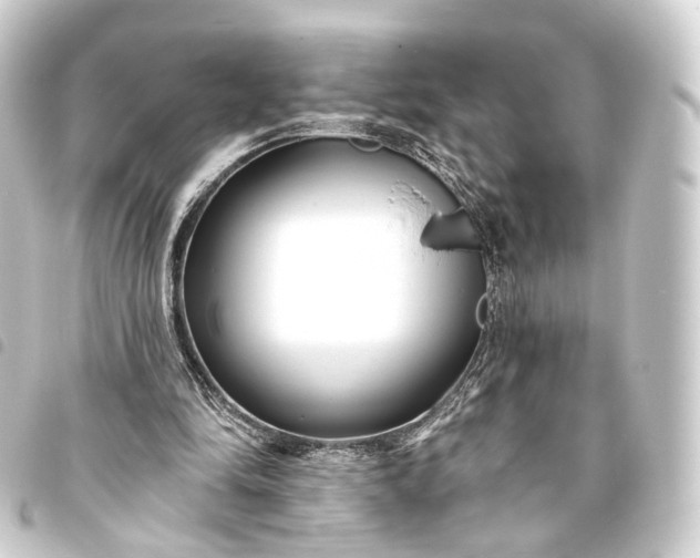 X0000093760294200710301150