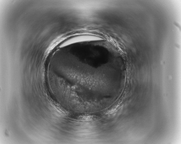 X0000093760295200710301150