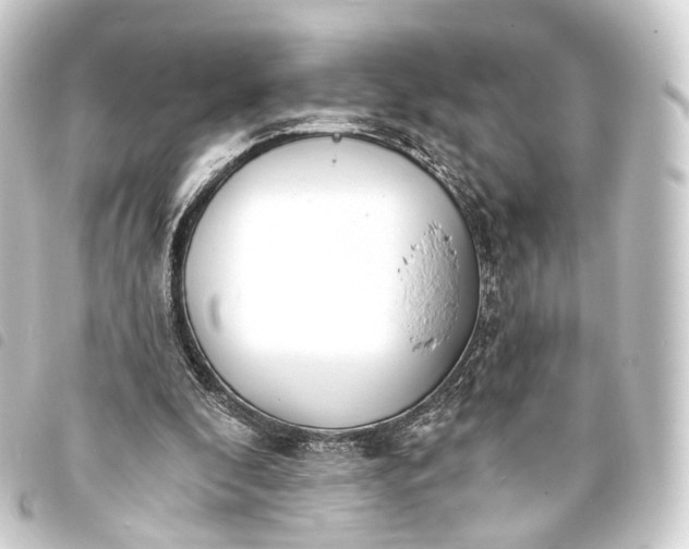 X0000093760296200710301150