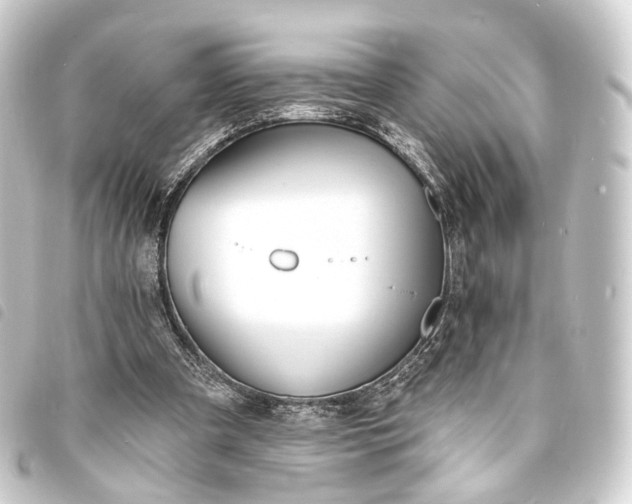 X0000093760297200710301150