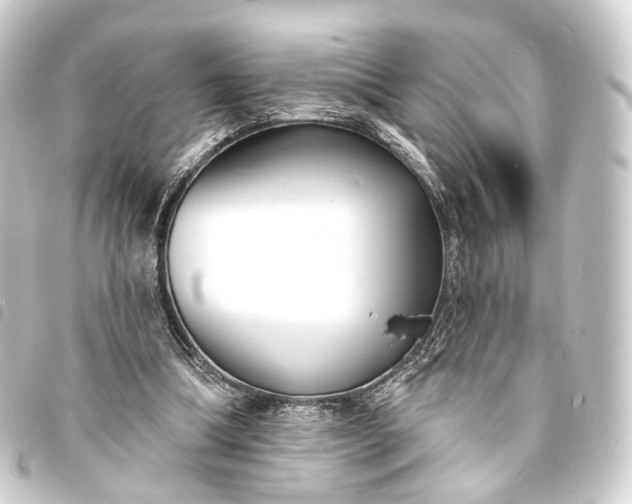 X0000093760298200710301150